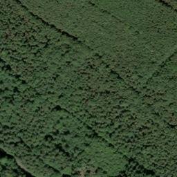 Satellite imagery of Ludwigsturm, DE