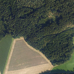 Satellite imagery of Dachsberg, DE