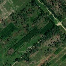 Satellite imagery of (Černé lesy [Velká Bíteš-Košíkov]), CZ