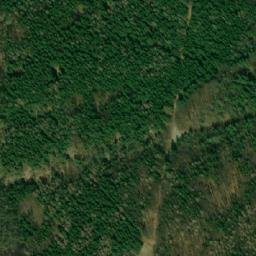 Satellite imagery of (U Tří javorů [Olšany] 2), CZ