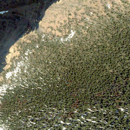 Satellite imagery of Rainy Ridge, CA