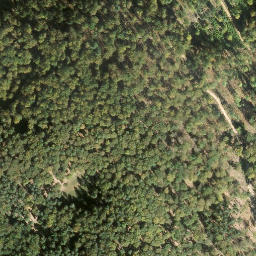 Satellite imagery of Geiskopf, DE