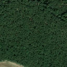 Satellite imagery of Wölfleinsberg, DE