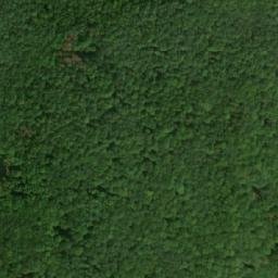 Satellite imagery of (Malá Říčka [Olšany]), CZ