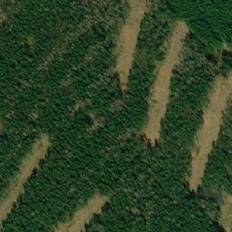 Satellite imagery of (U Tří javorů [Olšany] 2), CZ