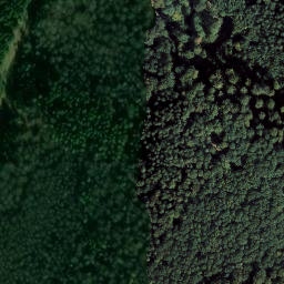 Satellite imagery of Ringelsberg, DE