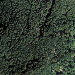 Satellite imagery of Ringelsberg, DE