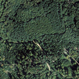 Satellite imagery of Ringelsberg, DE