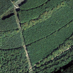 Satellite imagery of Kippkopf, DE