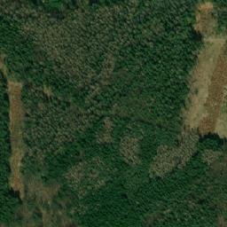 Satellite imagery of (Na Kopečku[Olšany]), CZ