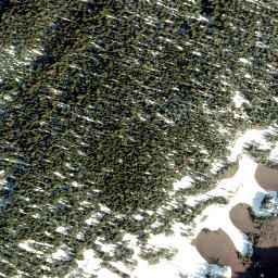 Satellite imagery of Rainy Ridge, CA
