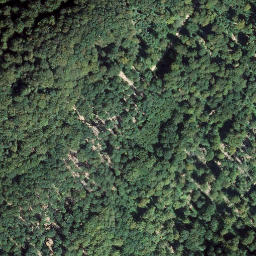 Satellite imagery of Ringelsberg, DE
