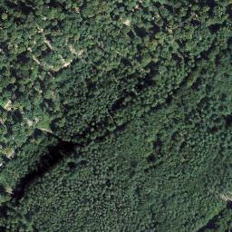 Satellite imagery of Ringelsberg, DE