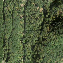Satellite imagery of Weißenberg, DE