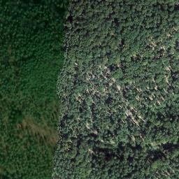 Satellite imagery of Ringelsberg, DE