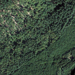 Satellite imagery of Ringelsberg, DE