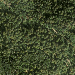 Satellite imagery of Wernagel, DE