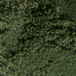 Satellite imagery of Wernagel, DE