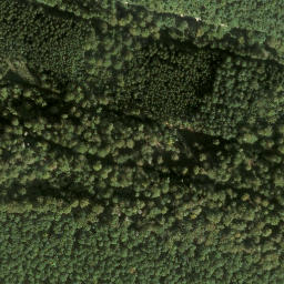 Satellite imagery of Wernagel, DE