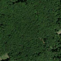 Satellite imagery of (Hostěnický les), CZ