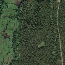 Satellite imagery of Blueberry Pass, CA