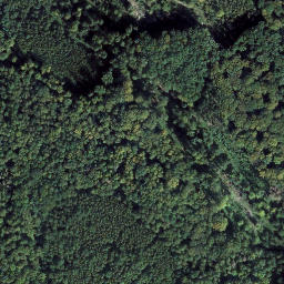 Satellite imagery of Fasanerie, DE