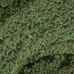 Satellite imagery of Wernagel, DE