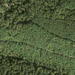 Satellite imagery of Wernagel, DE