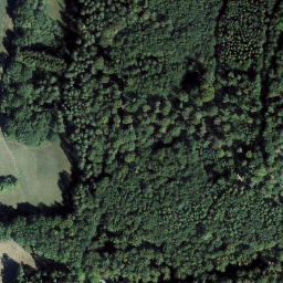 Satellite imagery of Vorderer Winschertkopf, DE