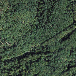 Satellite imagery of Vorderer Winschertkopf, DE