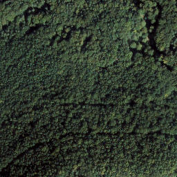 Satellite imagery of Wartenberg, DE