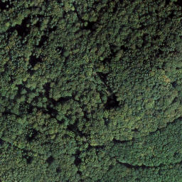 Satellite imagery of Wartenberg, DE
