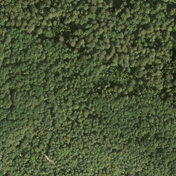 Satellite imagery of Wernagel, DE