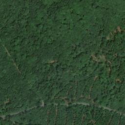 Satellite imagery of Burgstall, DE