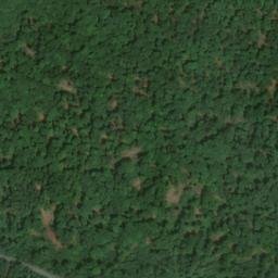 Satellite imagery of Burgstall, DE