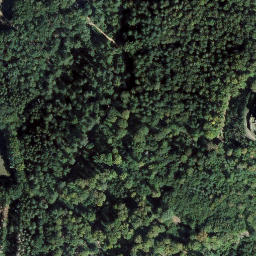 Satellite imagery of Vorderer Winschertkopf, DE