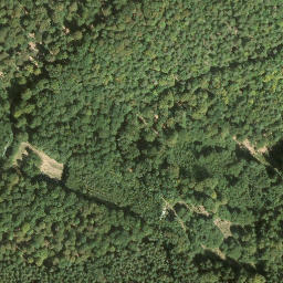 Satellite imagery of Rindenbühl, DE