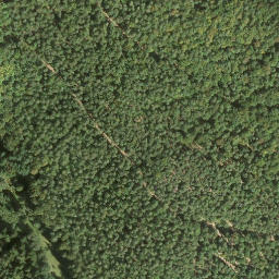 Satellite imagery of Rindenbühl, DE