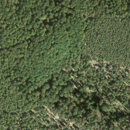 Satellite imagery of Rindenbühl, DE
