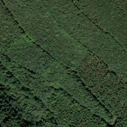 Satellite imagery of Eichberg, DE