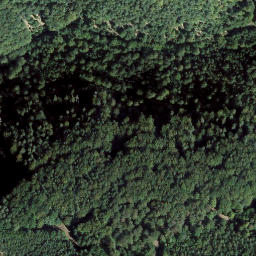 Satellite imagery of Hanseneck, DE