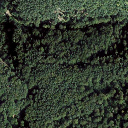 Satellite imagery of Hanseneck, DE