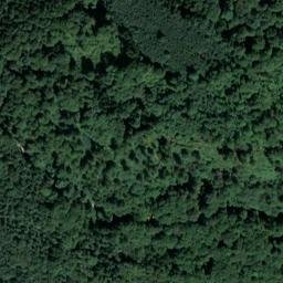 Satellite imagery of Buchberg, DE