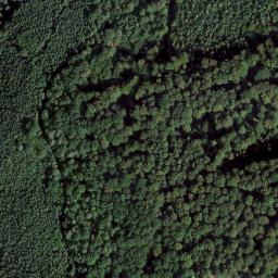Satellite imagery of Hanseneck, DE