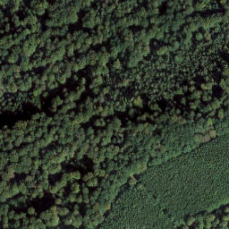 Satellite imagery of Hanseneck, DE