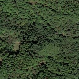 Satellite imagery of Rehköpfchen, DE