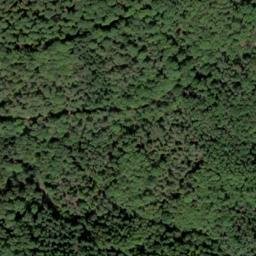 Satellite imagery of Rehköpfchen, DE