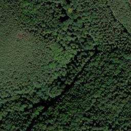 Satellite imagery of Ringelsberg, DE