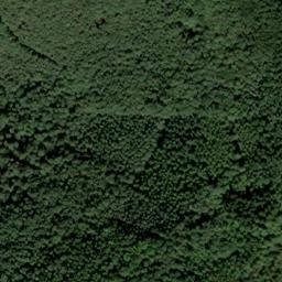 Satellite imagery of Ringelsberg, DE