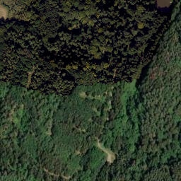 Satellite imagery of TP, CZ